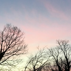 Vices Demo ft. Mother Vine & Seder