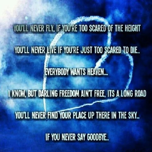 FREE DOWNLOAD!! Hardwell & Dyro feat Brightlights - Never say Goodbye (Danny r-core remix)