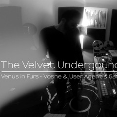 The Velvet Underground & Nico - Venus in Furs (Vosne & User Agent 5am lousy cover)
