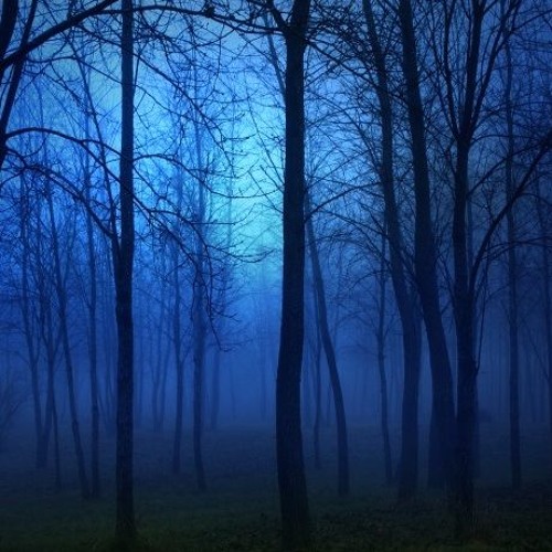 The breath of the forest