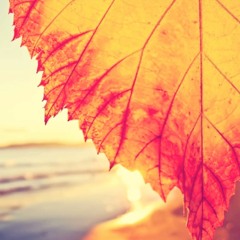 Talamanca & Cathy Burton | Reach Out To Ocean Drive (Talamanca Mashup)