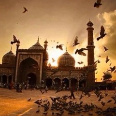 القصيدة التوحيدية... إنشاد علي عماش الألمعي