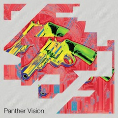 Panther Vision