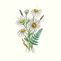 Daisies - Children Of Indigo