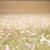 Artwork for Smile (Creative Commons) FREE vlog banjo background