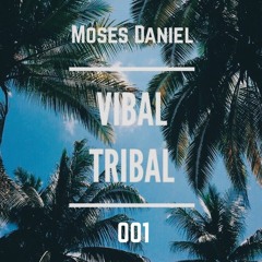 Vibal Tribal // 001