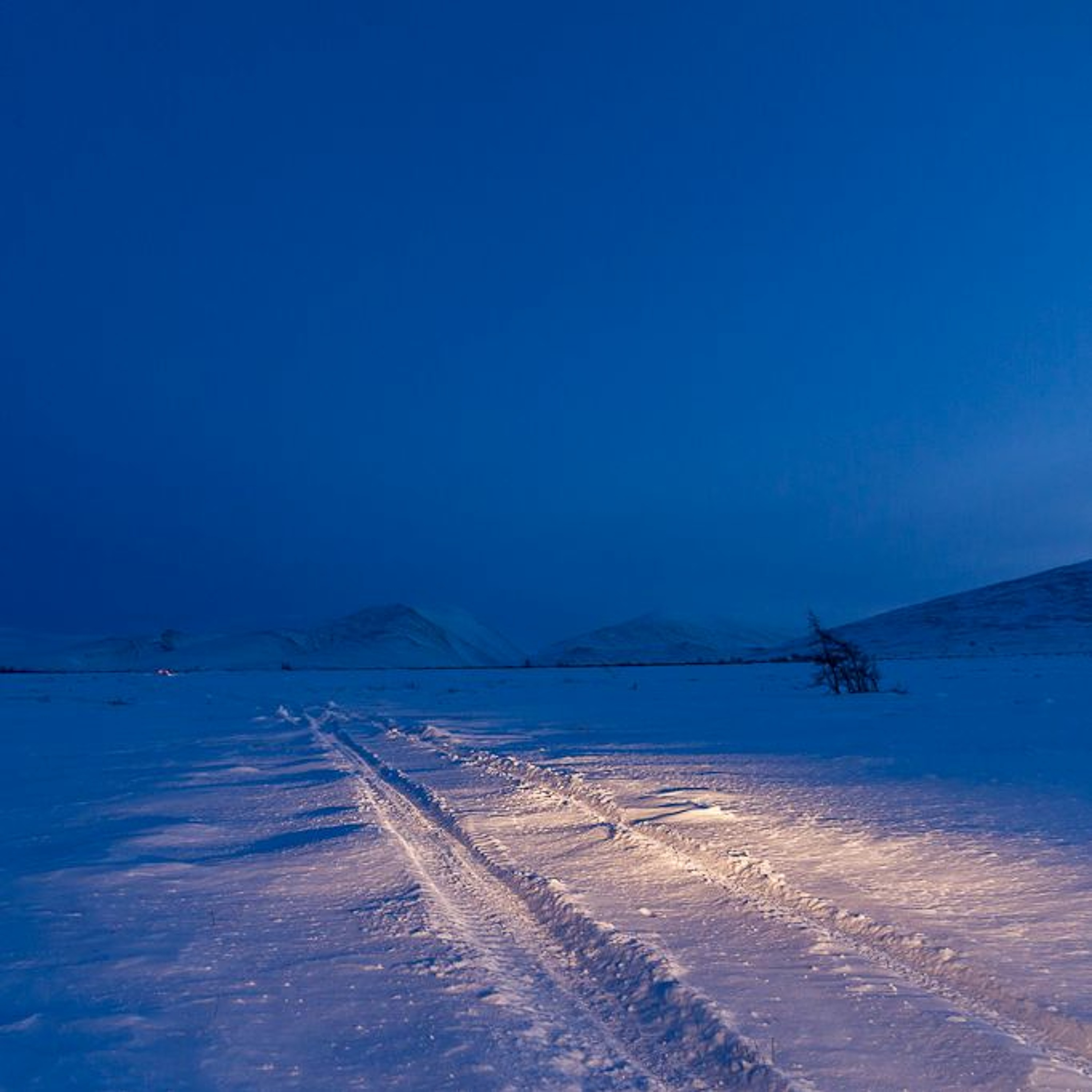 Suicide Fun (shurkin)