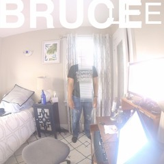 BRUCE L33