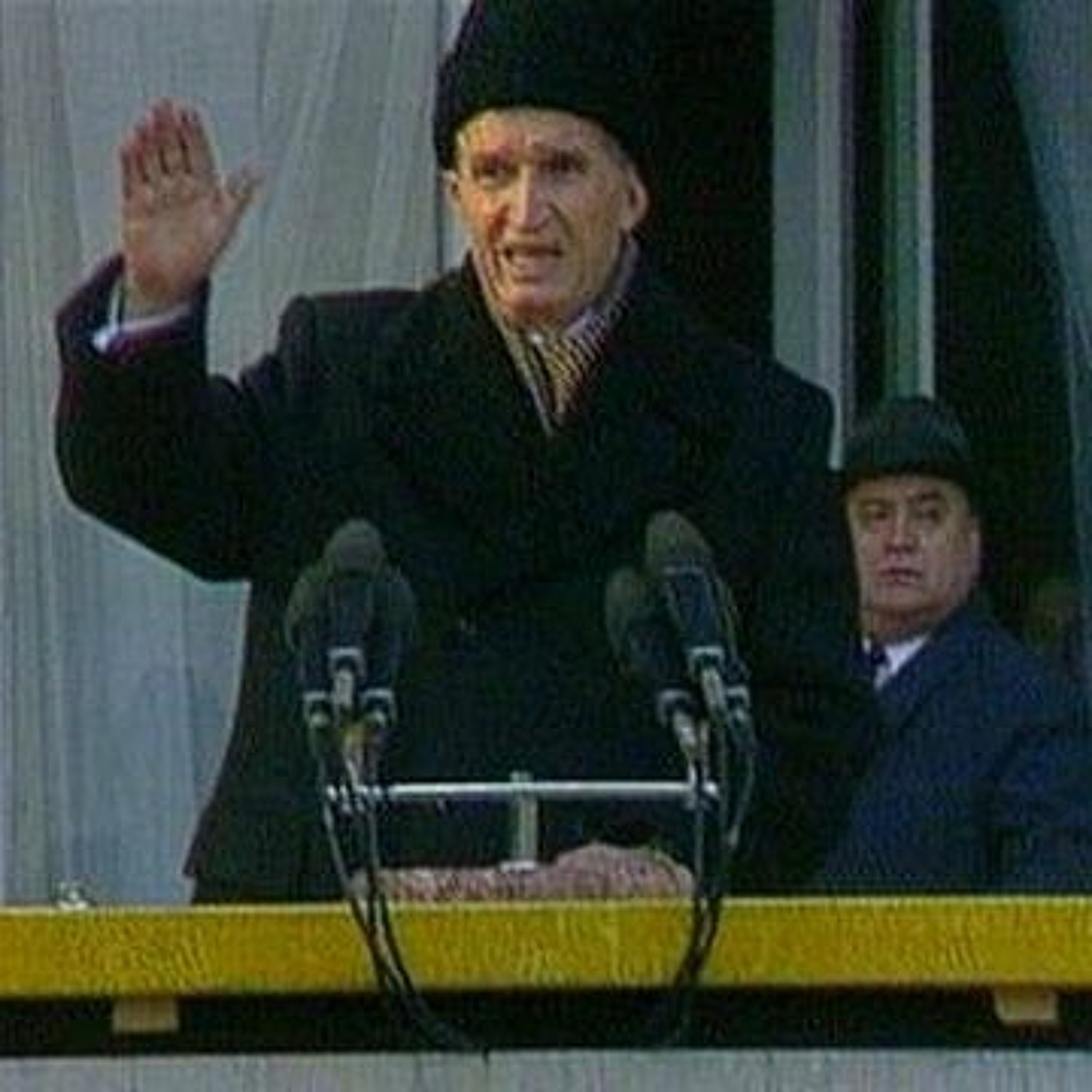 Suicide Fun (shurkin)