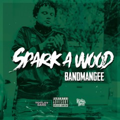 BandManGee - Spark A Wood