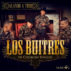 LOS BUITRES DE CULIACAN Y LOS NUEVOS REBELDES MIX