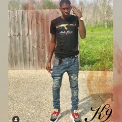 K9-🦅Judgement day