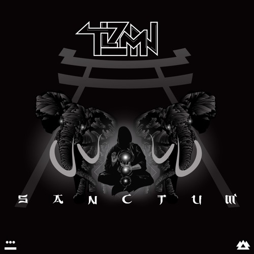 TLZMN - No Obstacle