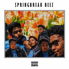 SpringBreak Beez