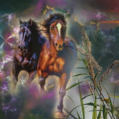 Dimension Ride by The Unknown Psychologist