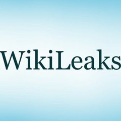 Wikileaks (The First Pass Mix)