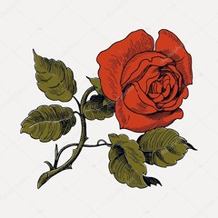 Денис RiDer - Роза с шипами