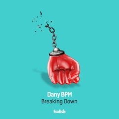 Dany BPM - Breaking Down