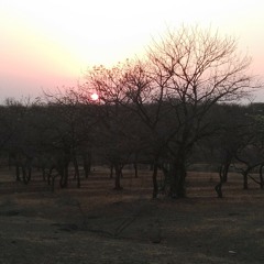Nogo area