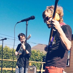 the color of a kerria rosebush 2016 demo