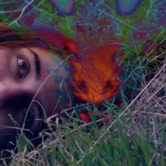 A.M. - The Drought Four - Please Let Me In