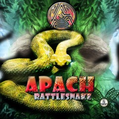 APACH -  Rattlesnake  [ out on Tendance Music ]