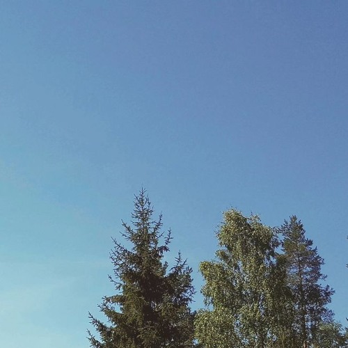 Ambient 38