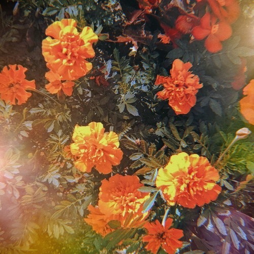 Chill Lofi