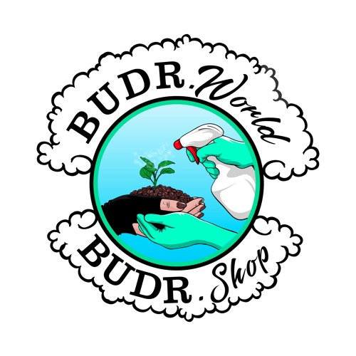 BUDR (BOSSED UP DYNASTY Radio Mix VOLUME 1)