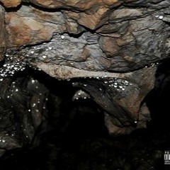 LOVE ME FREESTYLE (6 WEEKS) PROD BEARMAKEHITS