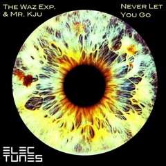 The Waz Exp.&Mr.kju - Never Let You Go (Tom DeLuxe Beach Mix) [ Out now!!! ]