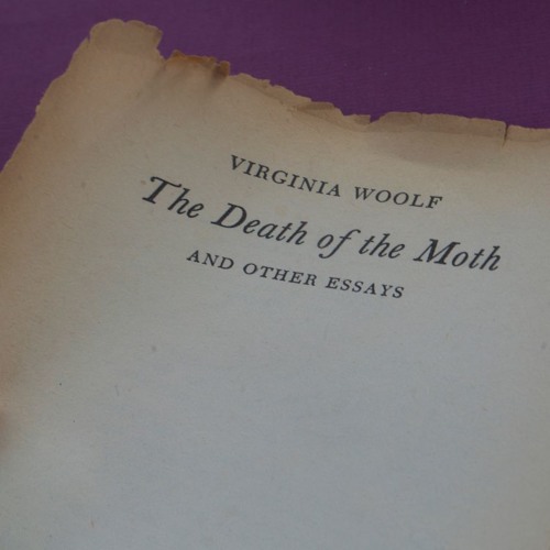 the moth virginia woolf