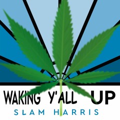 The Waking Y'all Up Course: Mindfulness Meditation (4 Minutes, 20 Seconds)