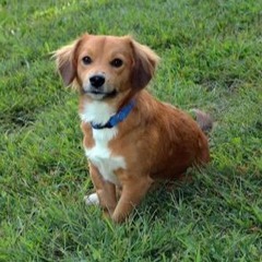 ThisOneIsGoodImpressPeopleWithThis