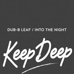 Dub-B Leaf - Into the Night