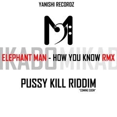 Mikado & Yanishi (Ft. Elephant Man) - How You Know Rmx (Pussy Kill Riddim)