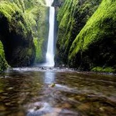 DOĞA İÇİN ÇAL 3 - GESİ BAĞLARI