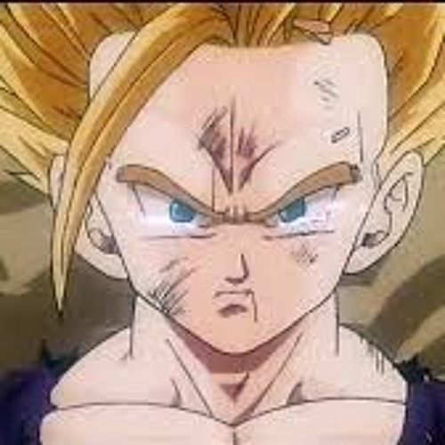 Unmei No Hi ~ Tamashii Tai Tamashii (SSJ2 Gohan Theme)