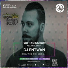 DJ Entwan @ Ibiza Global Radio [19/04/2019] I Tod Radioshow 41 Guest Mix