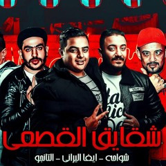 مهرجان شقايق القصعي | شواحة - ايفا - التانجو | كلمات شمس | توزيع زيزو المايسترو
