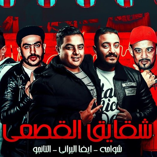 مهرجان شقايق القصعي | شواحة - ايفا - التانجو | كلمات شمس | توزيع زيزو المايسترو