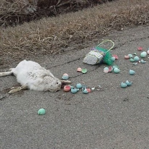 Ostern Fällt Aus!!!