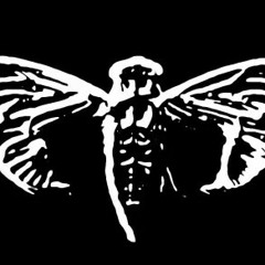 Cicada 3301-The Instar Emergence (8D Audio)