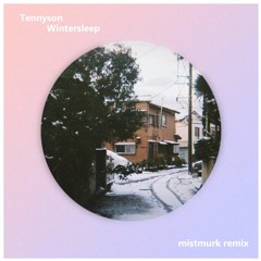 Tennyson - Wintersleep (mistmurk remix)