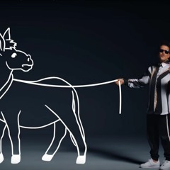 i like horses