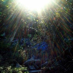 Pure Is The Water, Pure Is The Sun (1)