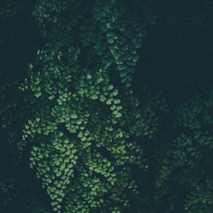 untitled 67 (ⅈ▱ⅈ)