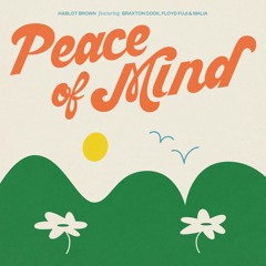 Peace of Mind (Feat. Braxton Cook, Floyd Fuji, & MALIA)