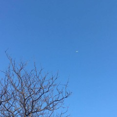 Unknown (feat. damrae)