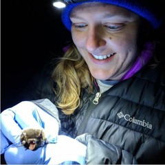 Winter, Swamps, and White Nose Syndrome: Katie Haase
